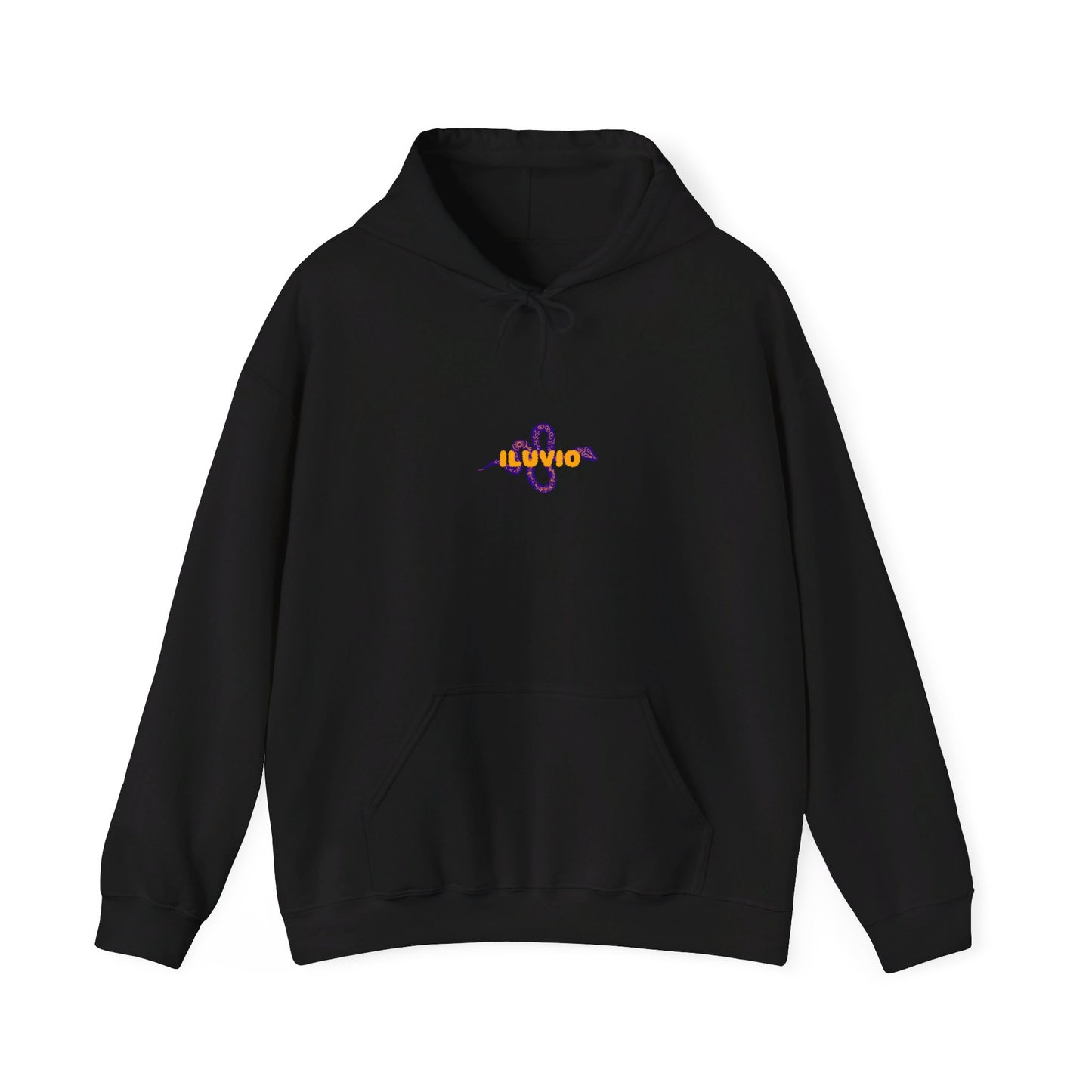 The CD Hoodie